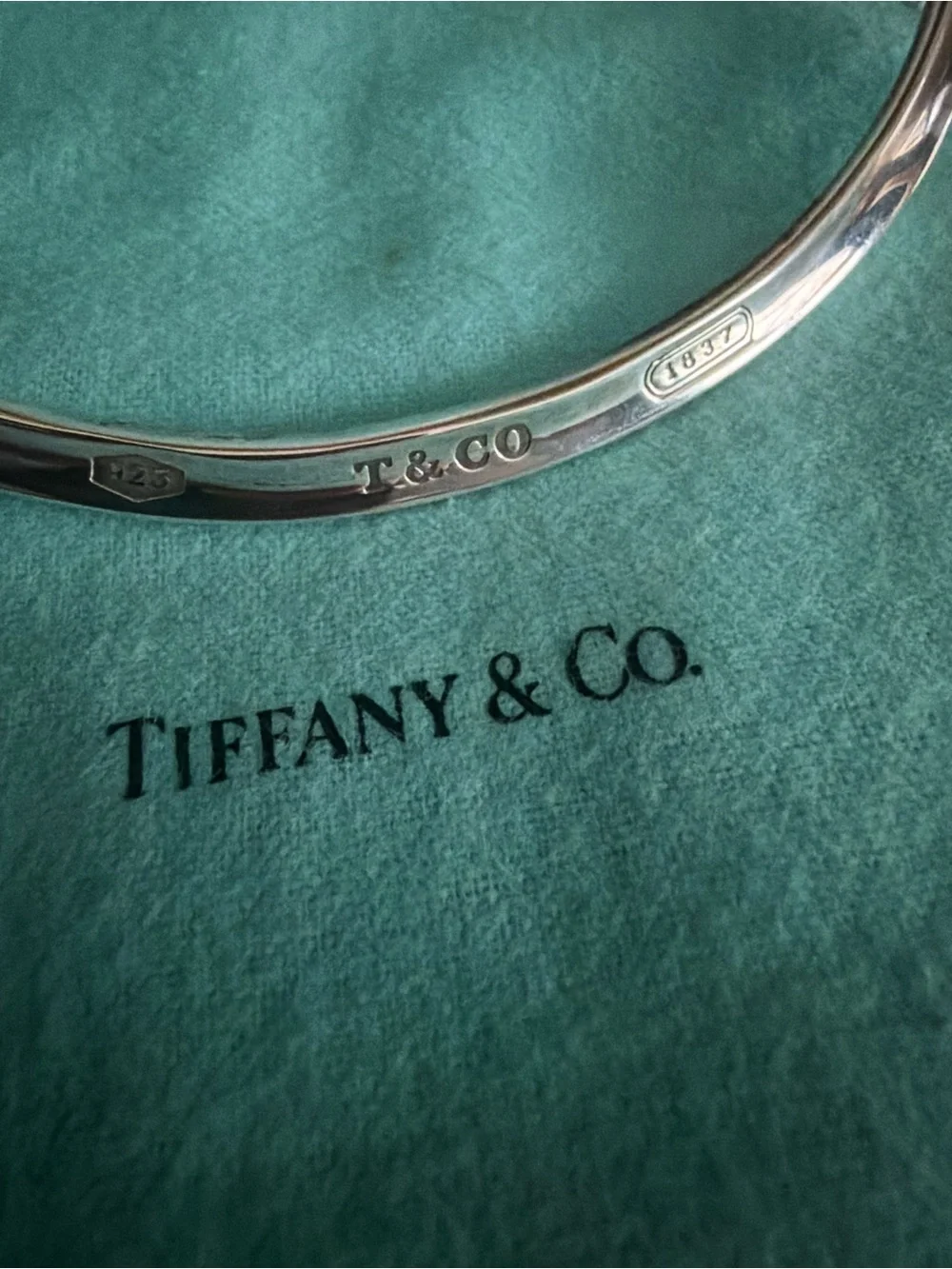 Tiffany & Co. Elsa Peretti Sterling Silver Torque Necklace